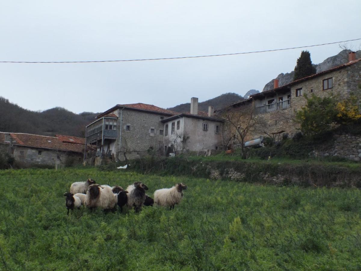 El Enebral En Potes Picos De Euopa *