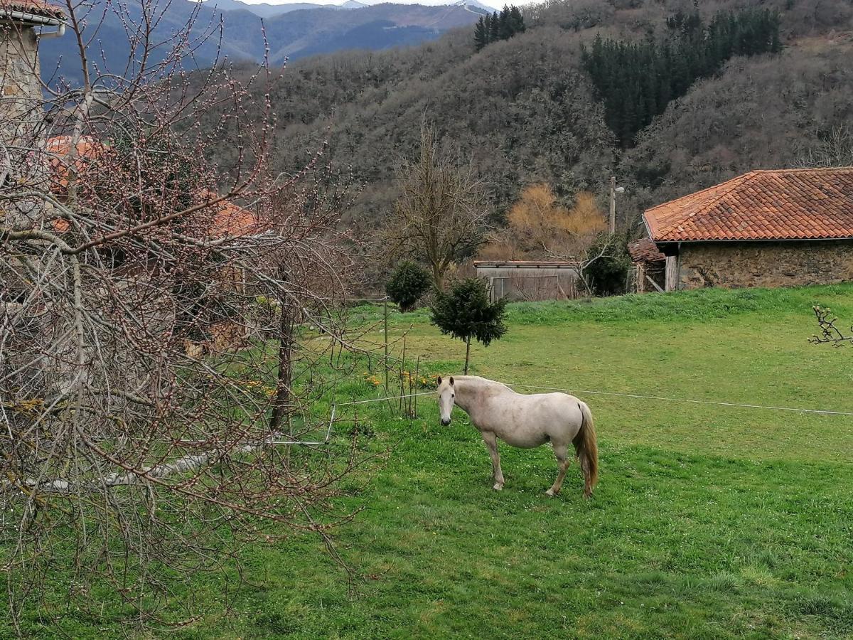 El Enebral En Potes Picos De Euopa Appartement *