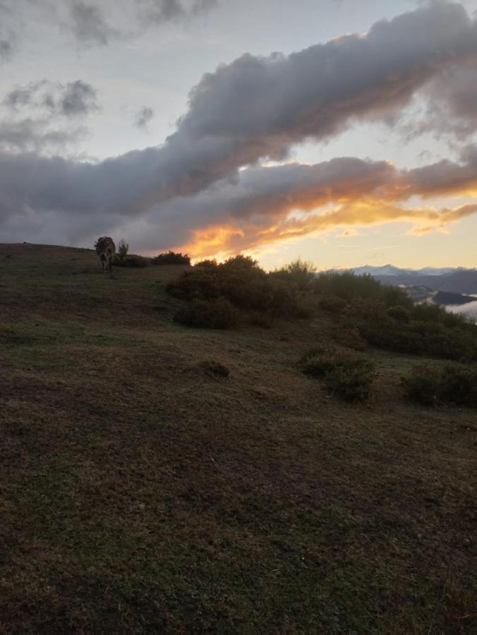 Appartement El Enebral En Potes Picos De Euopa