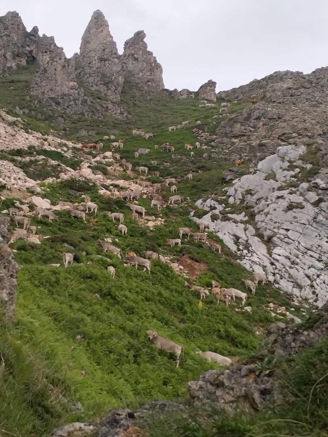 El Enebral En Potes Picos De Euopa Appartement
